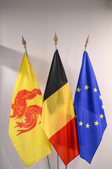 Belgique europe wallonie drapeau