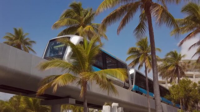 Elevated transit train moving across rails, under bright blue sky with palm trees