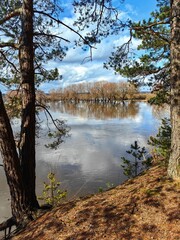 Spring landscape with forest, field and river.