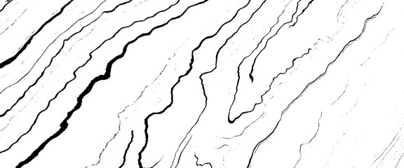 Vector wood grain texture dense lines white background