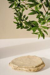 Background for cosmetic products of natural beige color. Stone podium with green leaves. Front view.