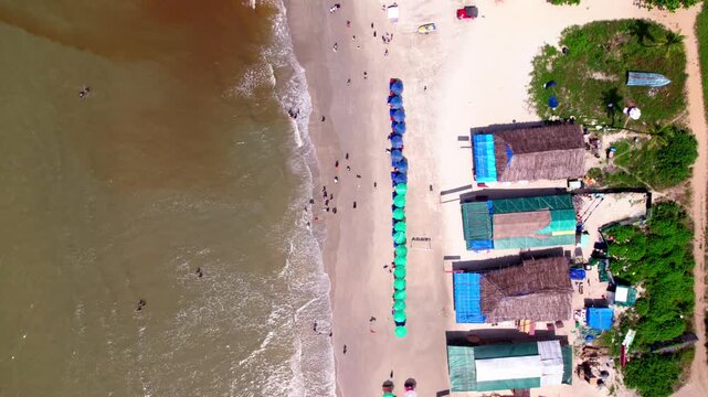 People are enjoying on beach shoreline with sunbeds and shacks at colva, south goa, india. day time, top down shot, static shot, drone shot, 4k.