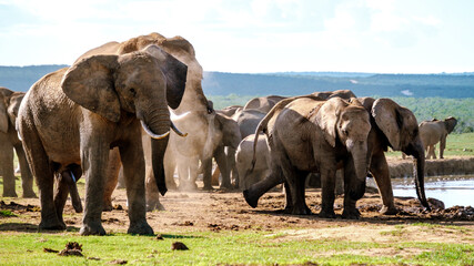 Fototapety na wymiar - Fototapeta24.pl