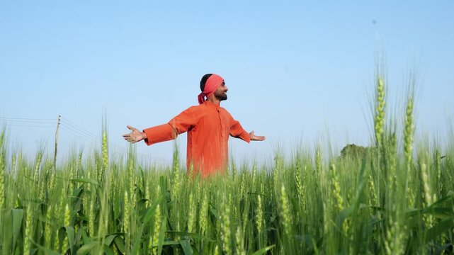happy indian farmer standing at agricultural field
