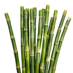 Obraz premium Fresh Green Bamboo Sticks Arranged Together for Decoration or Craft Projects
