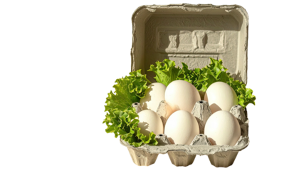 Open egg carton with six white eggs nestled within fresh green lettuce leaves