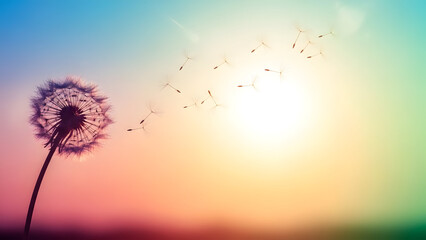 Fototapeta premium Dandelion flower releasing seeds into vibrant sunset