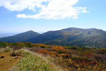 Naklejka premium 蔵王山頂付近の紅葉 宮城県