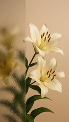 Obraz premium Elegant lilies with textured glass