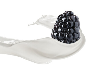 Milk Splash with Fresh Blackberry