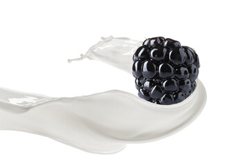 Milk Splash with Fresh Blackberry