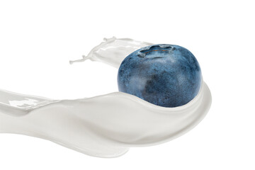 Milk Splash with Fresh Blueberry