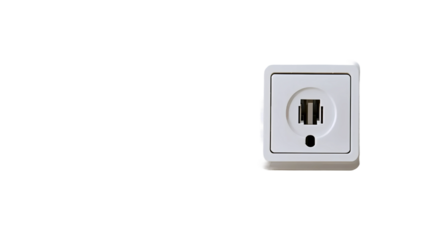 Reliable 2-Pin Socket