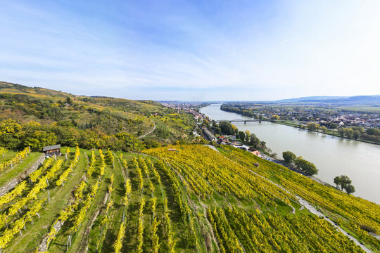 Aerial view of golden vineyards cascading towards the Danube river under a vast sky, with a bridge connecting distant shores, Krems, Lower Austria, Austria.