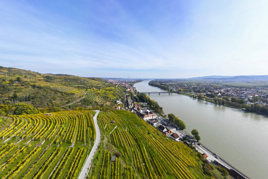 Aerial view of sun-kissed vineyards cascading down the hillsides towards the Danube, a bridge stretching over the water, Krems, Lower Austria, Austria.