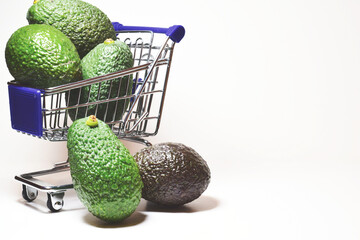 Avocados, tropical fruits, in front shot and white background, copy space.