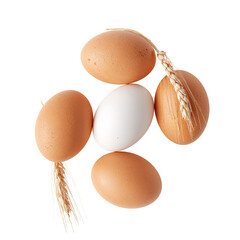 Group of Brown and White Eggs With Wheat Stems on a Plain Surface