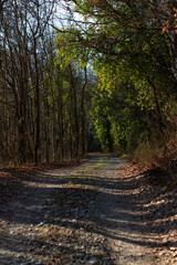 Fototapeta premium Foto paesaggistica colori dettagli