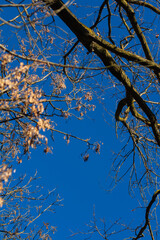 Foto paesaggistica colori dettagli