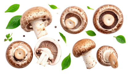 Overhead shot of brown mushrooms and green leaves scattered on a black background