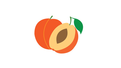 apricot vector art 