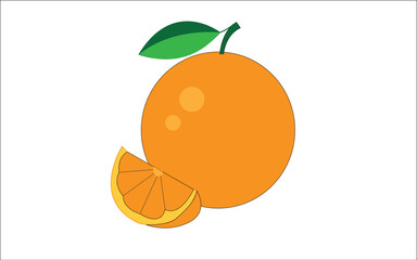 vector illustration of an orange