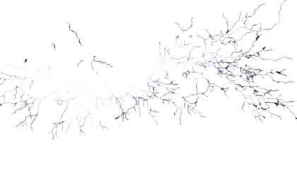Pixelated white electric arcs against a black background resembling branched tree roots