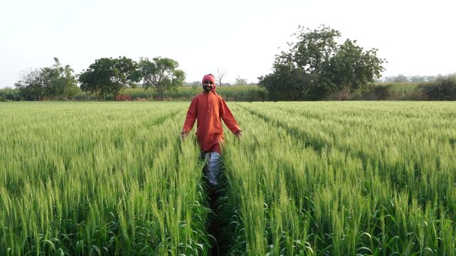 happy indian farmer standing at green wheat field