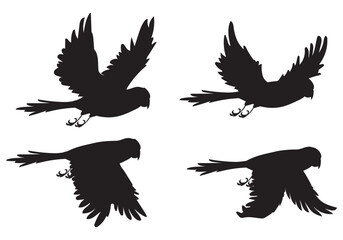 Obraz premium Bird silhouette vector art design