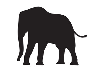 Fototapeta premium elephant silhouette vector