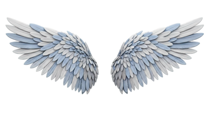 Angel Wings with Blue and White Feathers
