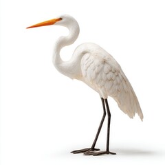 Obraz premium Elegant White Egret Bird Sculpture with Detailed Feather Texture on White Background