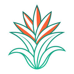 Fototapeta premium guzmania line art on white background 