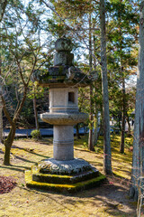 Fototapeta premium lantern in the park 
