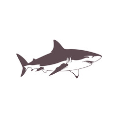 Great White Shark Silhouette. Vector Illustration of a Predatory Sea Fish for Marine and Ocean Designs