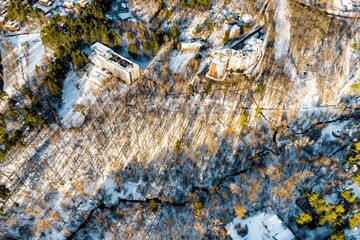 Bird's-eye view of a frosty forest landscape, a ribbon-like stream carving its path through fresh snow and stark trees with striking shadows