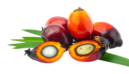 Close-up of vibrant, ripe, reddish-orange fruits with a white core, some cut in half, displayed with green leaves