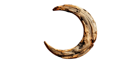 Crescent shape formed from weathered wood against a black backdrop, stark contrast