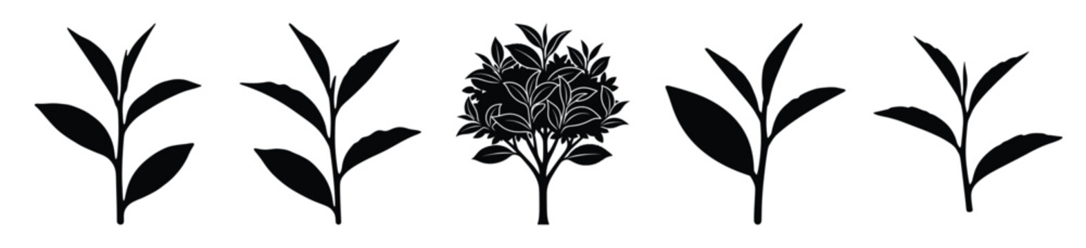 tea plant silhouette vector icon set, black color and white background