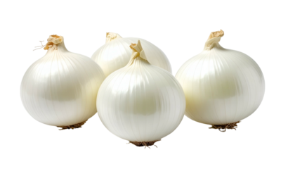 Four round, white alliums with papery skins and small root clusters are isolated on a black background, showcasing their form
