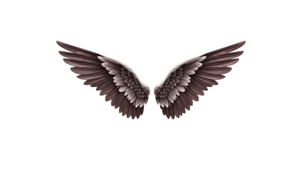 Obraz premium Angel wings feathered on Transparent Background