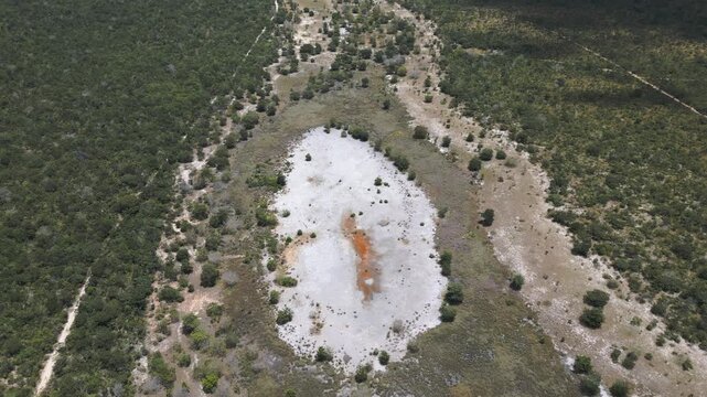 High-angle aerial perspective of a mineral-crusted dry lagoon in the Brazilian Cerrado, showcasing iron-oxide deposits and resilient savanna vegetation, Chapada dos Vadeiros, Goias, Brazil