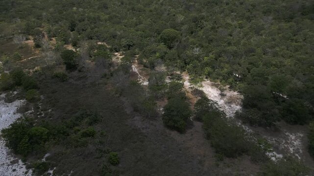 High-angle aerial sequences capture the intricate ecological management of a dry river basin in the Cerrado biome during the peak dry season, Goias, Brazil.