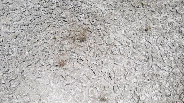 top-down macro perspective of the mineral-rich floor of a dry lagoon in the heart of the Brazilian savanna, showcasing complex mud-crack patterns and iron-oxide precipitates, Goias, Brazil