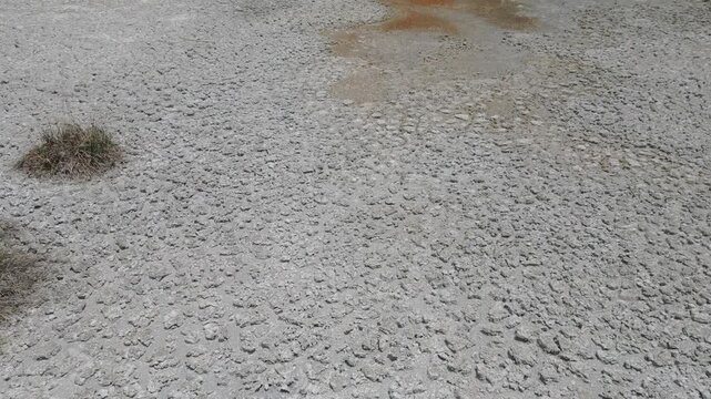 Macro-perspective of the mineral-rich floor of a dry lagoon in the heart of the Brazilian Cerrado savanna, showcasing complex desiccation patterns and iron-oxide precipitates, Chapada dos Vadeiros.