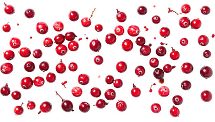 Scattered close-up of a multitude of ripe, round, ruby-red berries isolated on a black background