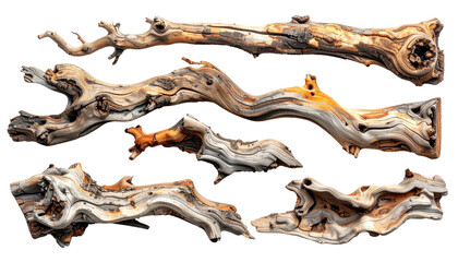 Several weathered driftwood branches against a black background, with visible textures