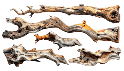 Several weathered driftwood branches against a black background, with visible textures