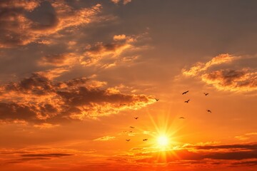 Obraz premium Golden Sunset with Birds