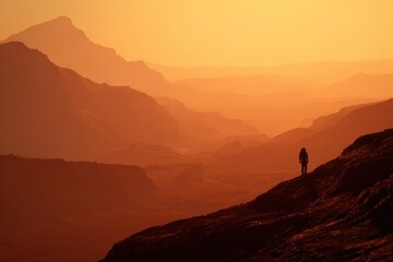Desert Landscape at Sunset